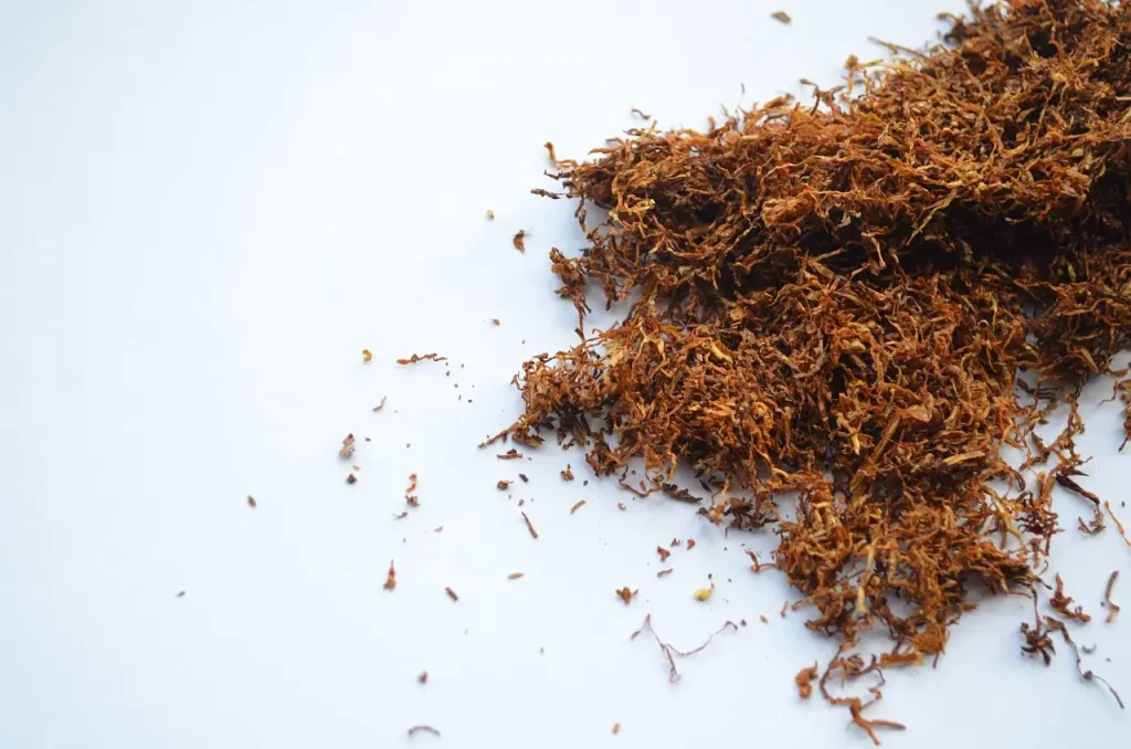 Brazilian Tobacco