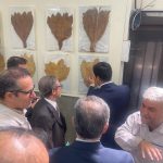 بازدید سفیر برزیل از دخانیات