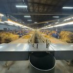 بازدید از کارخانه توتون