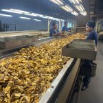 بازدید از کارخانه توتون