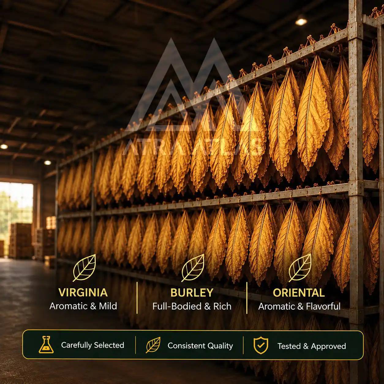 Premium Tobacco Leaf