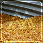 Animal Corn