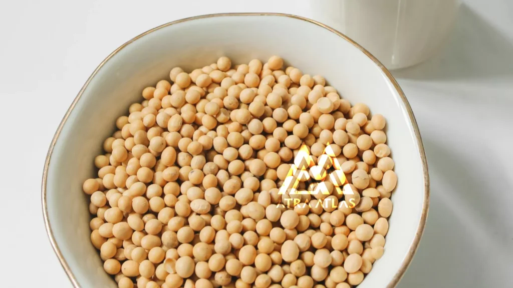 سویا آترااطلس اسلاید